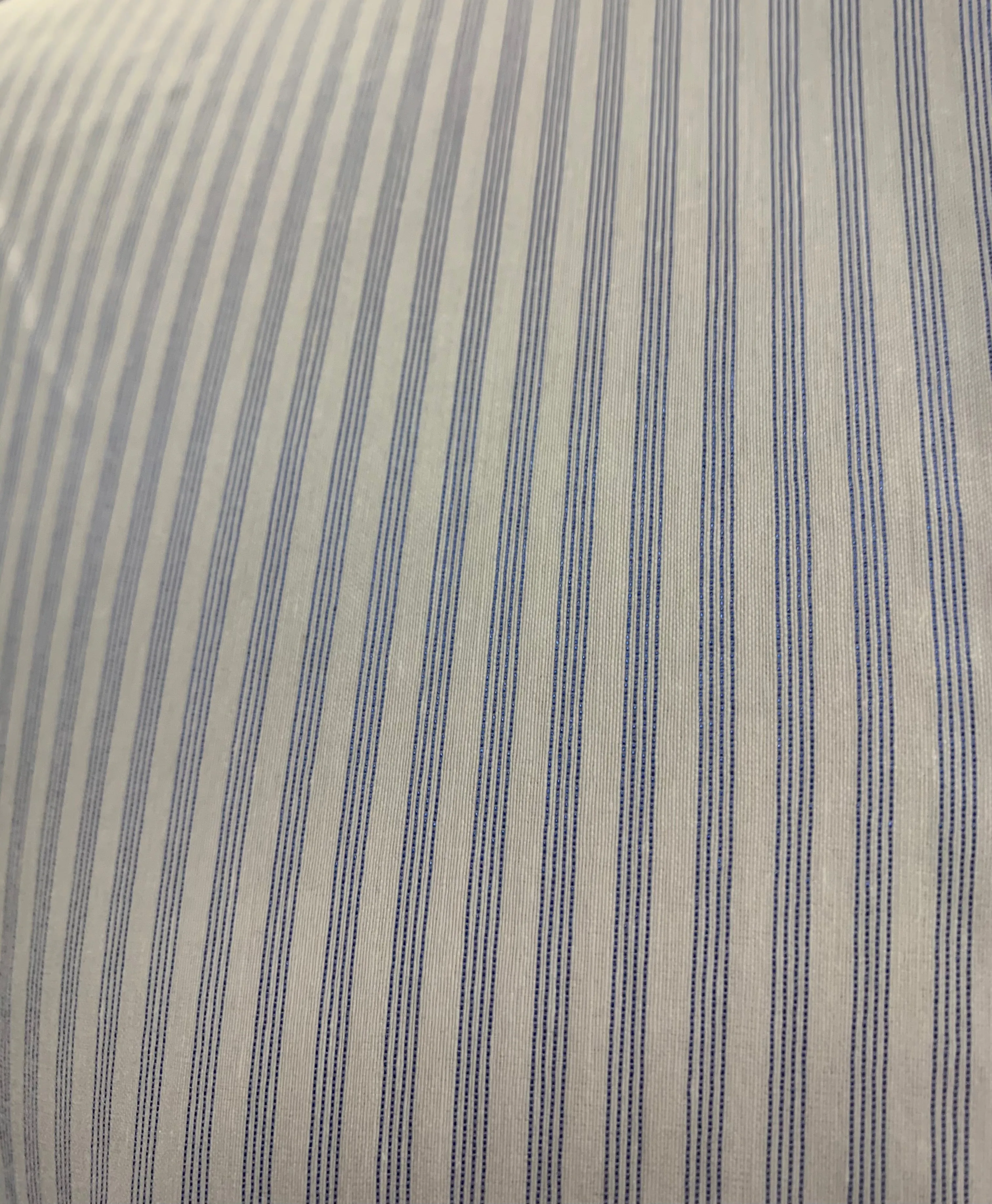 Special Edition Sydney Stripe Show Shirt - Ladies